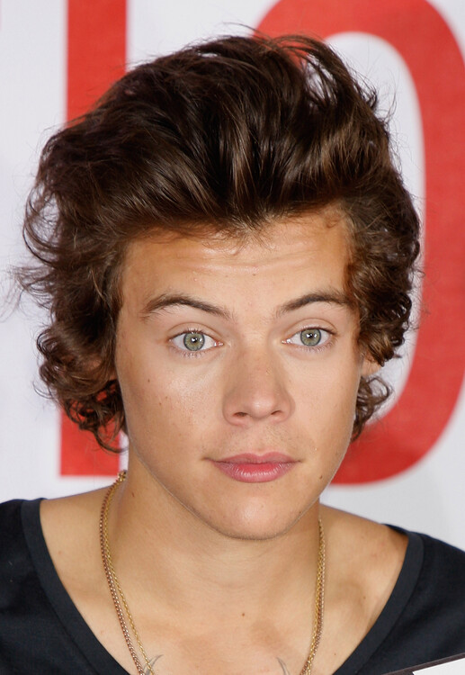 Poster One Direction Photo Call In London - This Is Us 3D