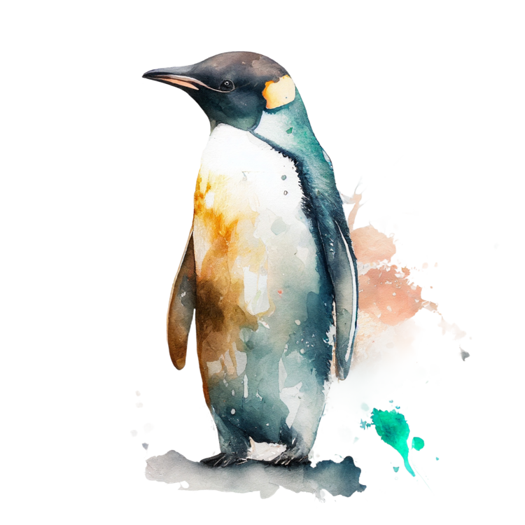 Maglietta Penguin