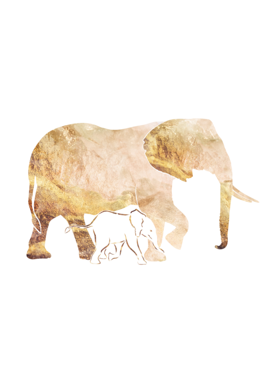 T-shirt Golden Elephant Silhouettes 2