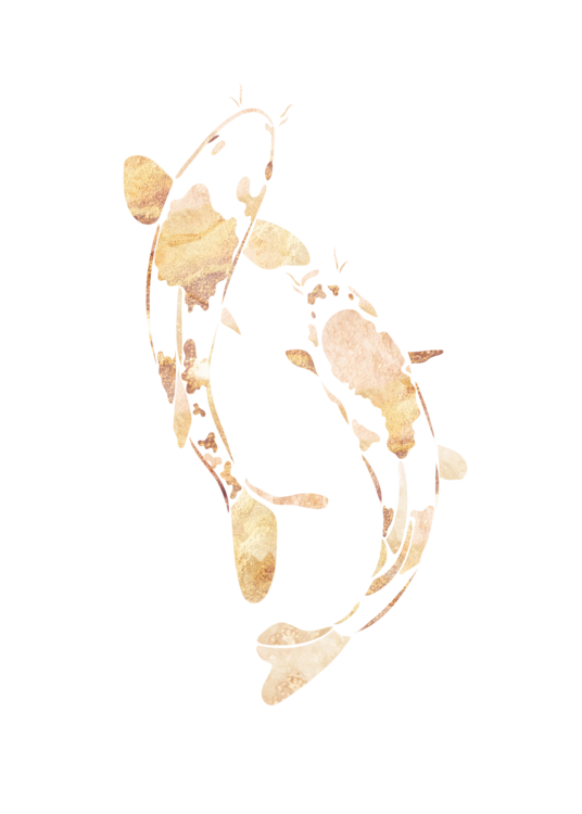 T-shirt Golden Koi Fish 2