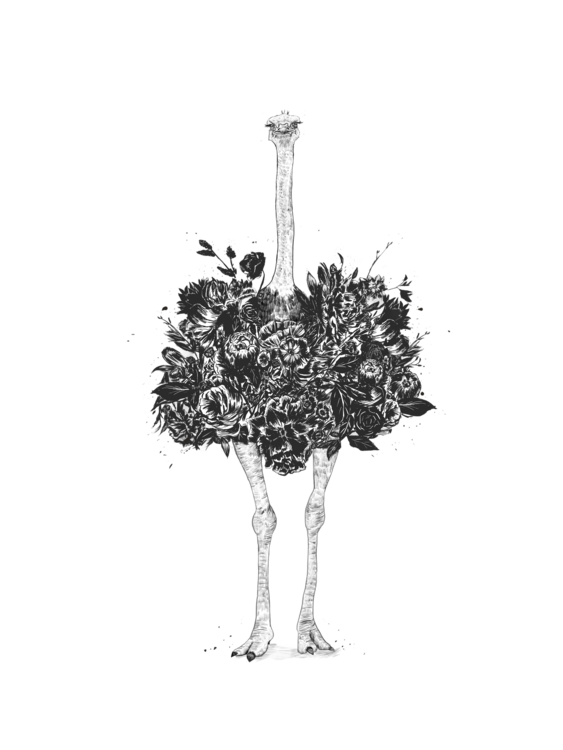 T-shirt Floral ostrich