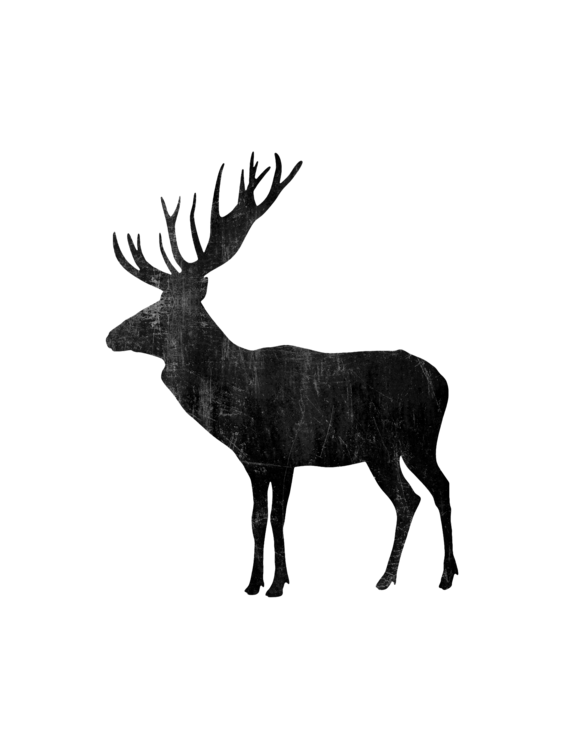 T-shirt Moose Painting