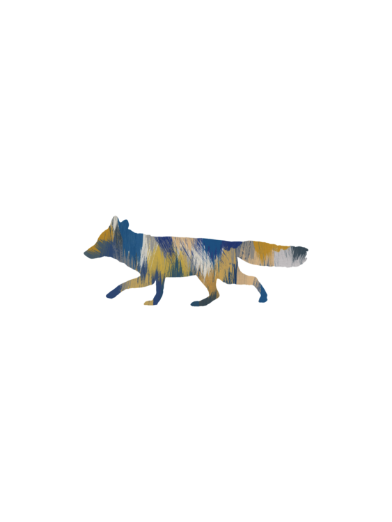 T-shirt Blue & Yellow Fox
