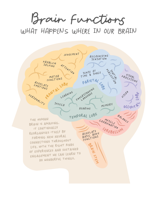 T-shirt Brainfunctions