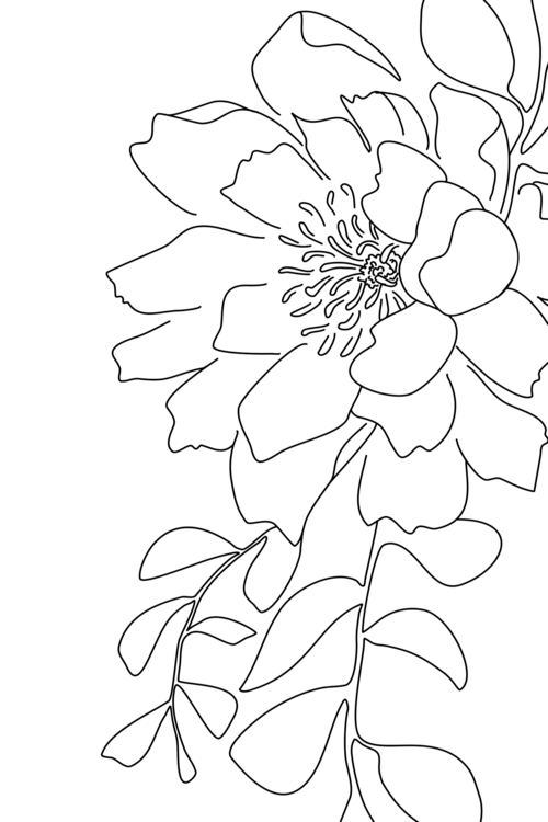 T-shirt Floral line art