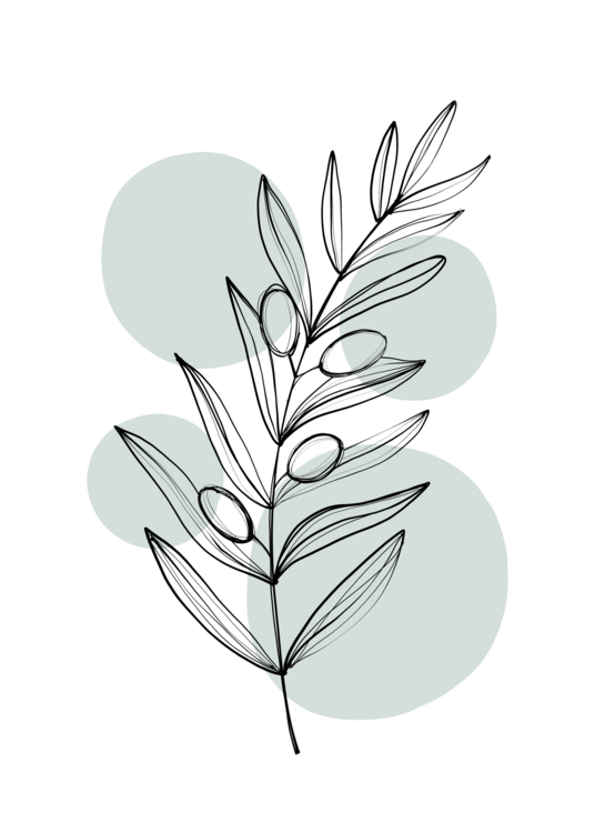 T-shirt Alina Buffiere - Delicate Botanicals – Olive