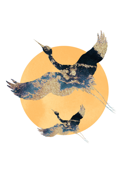 T-shirt Sapphire Sun aa Cranes