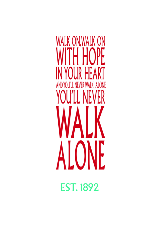 Camisola You'll never walk alone