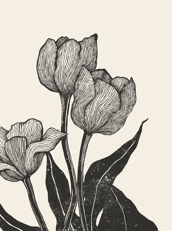 Poster Tulips