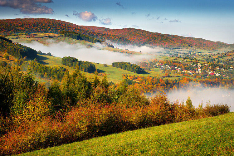 Poster Autumn mists 2