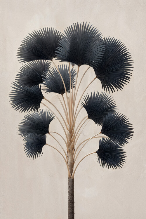 Plakat Midnight Fan Palm