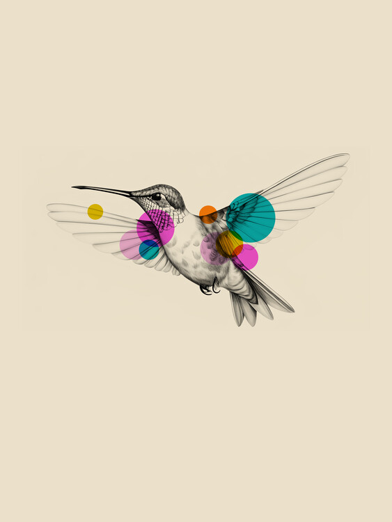 Плакат Hummingbird