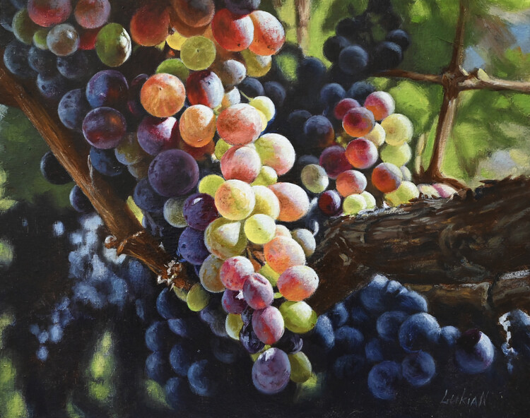 Poster Montenegrian Grapes - - from Original Oil Painting by Lukian