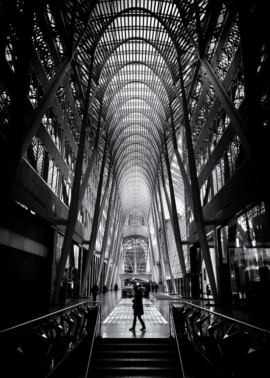 Плакат Allen Lambert Galleria No 2