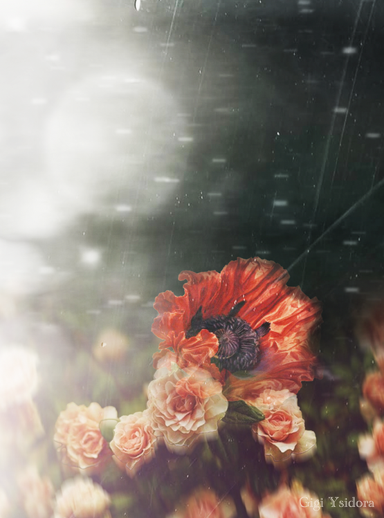 Плакат Floral Divinity