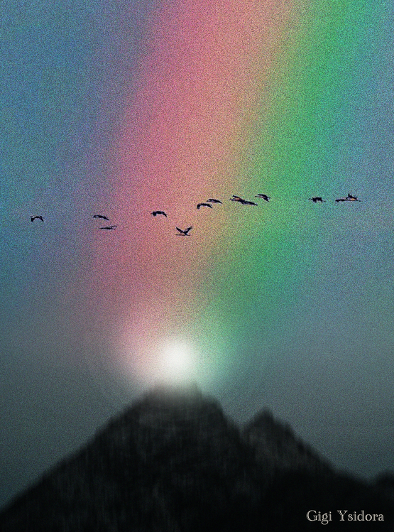 Плакат Dusk
