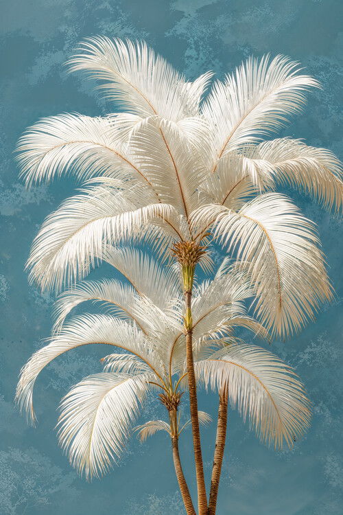 Plakat White Palm Art
