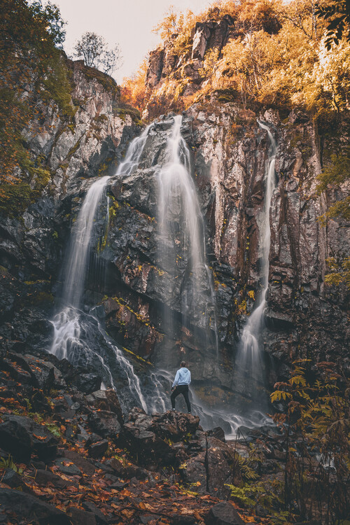 Poster Under nature's shower
