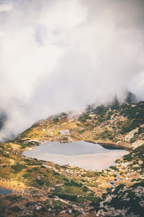 Poster In the realm of mist