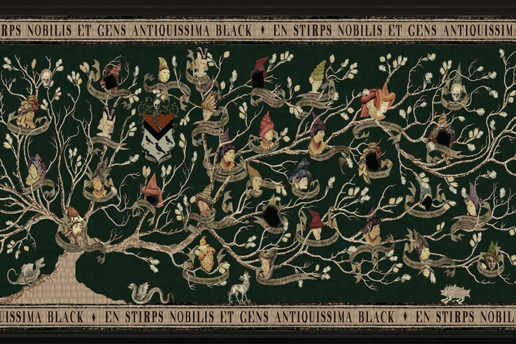 Poster Harry Potter – The Black Family Tree