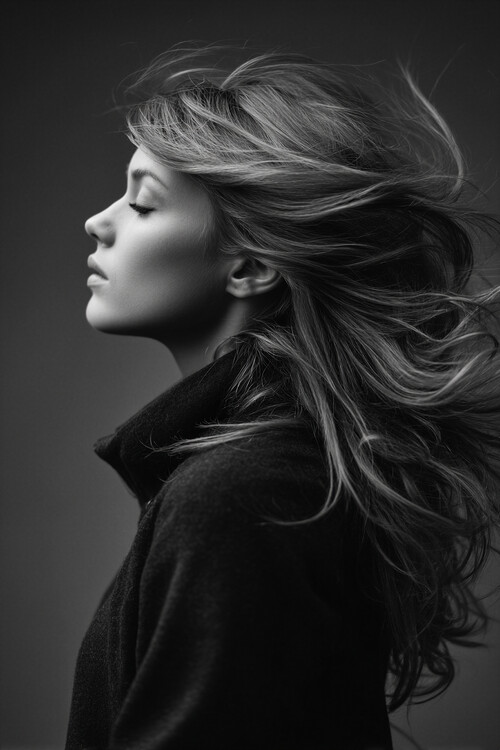 Poster Hairstyle in Motion