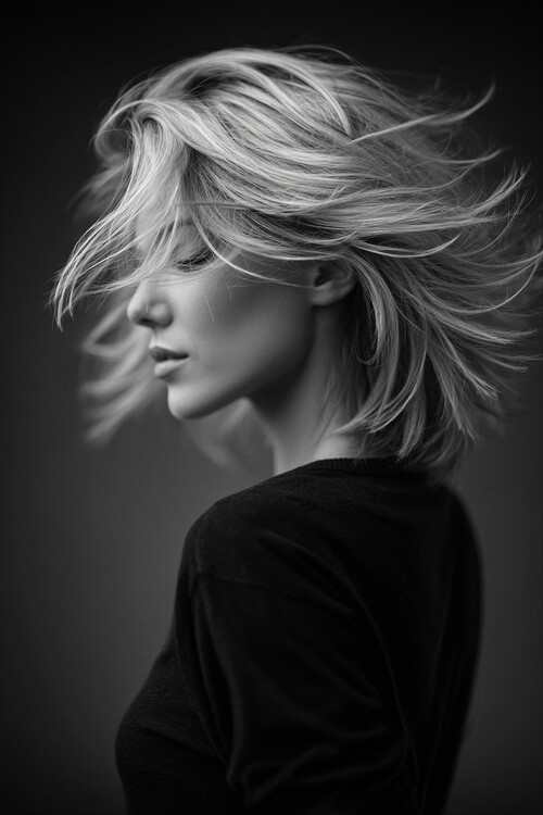 Poster Chic Haircut Stylev