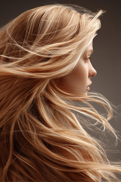 Poster Golden Hair Beauty