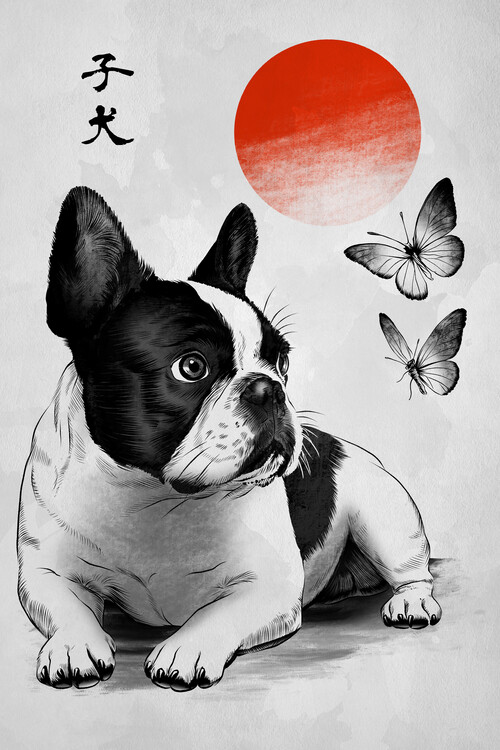 Poster Frenchie under the sun