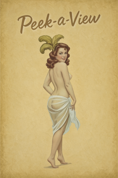 Poster Cheeky Retro Pin-Up Illustration