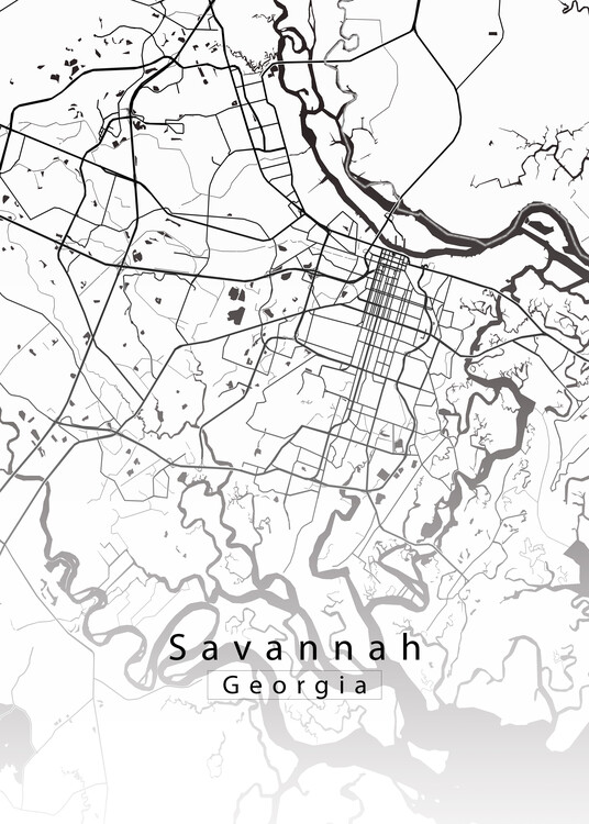 Juliste Savannah Georgia City Map white