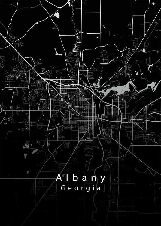 Juliste Albany Georgia City Map black