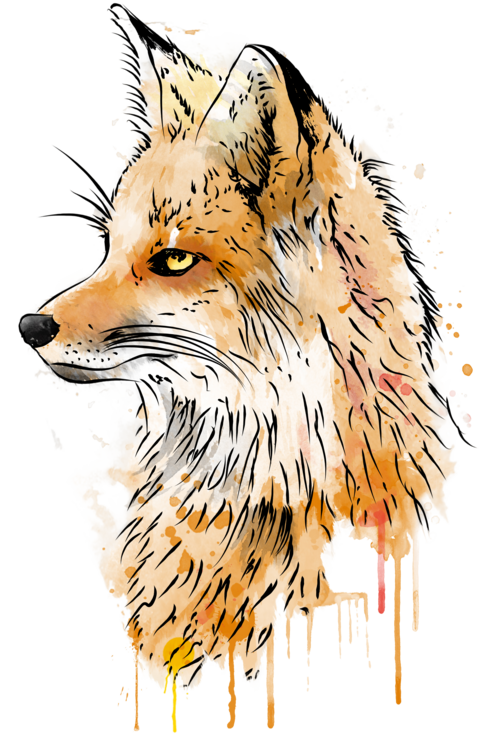 Maglietta Fox watercolor