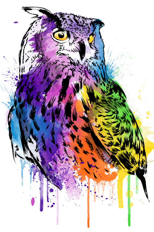Maglietta Owl watercolor