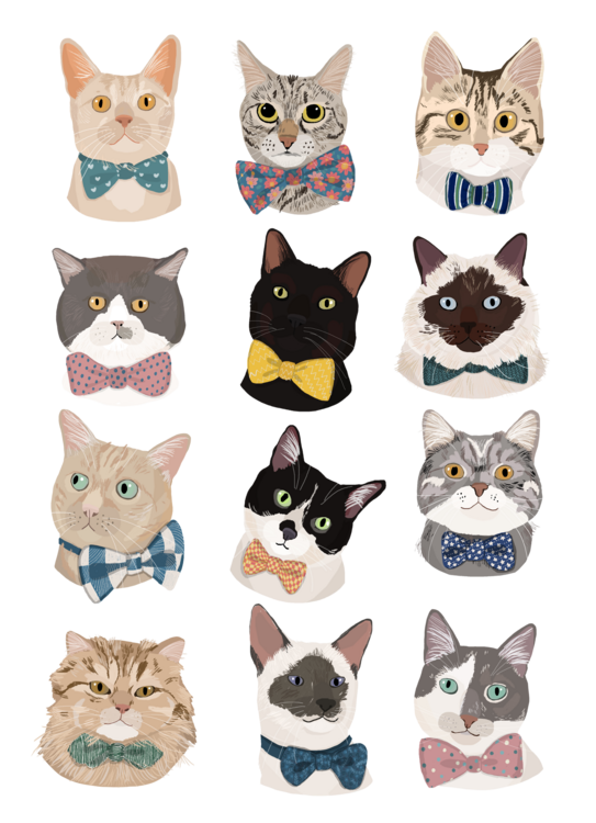 Футболка Cats In Bow Tie