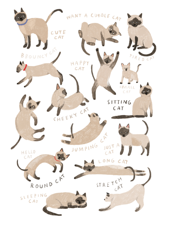 T-shirt Siamese Cat Print