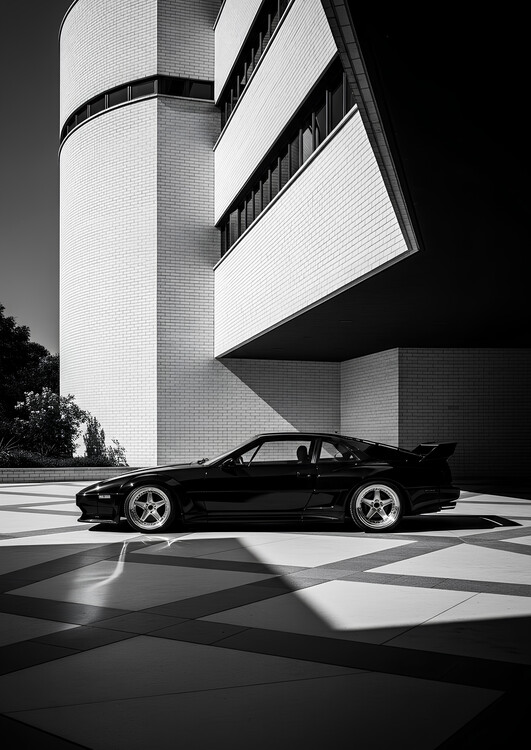 Poster Side Profile Black and White Architectural Photography