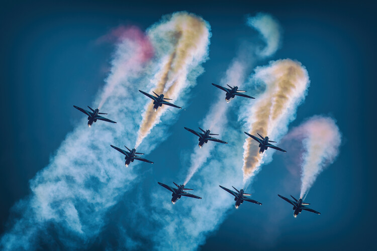 Canvas Print RedArrows