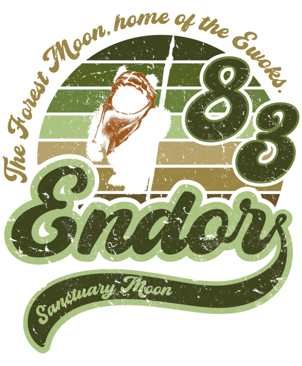 T-shirt Vintage Sanctuary Moon