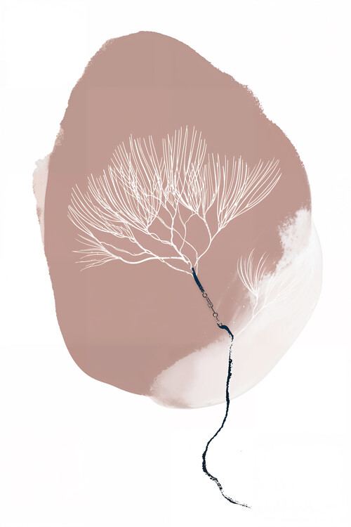 Juliste Desert Bloom Outline