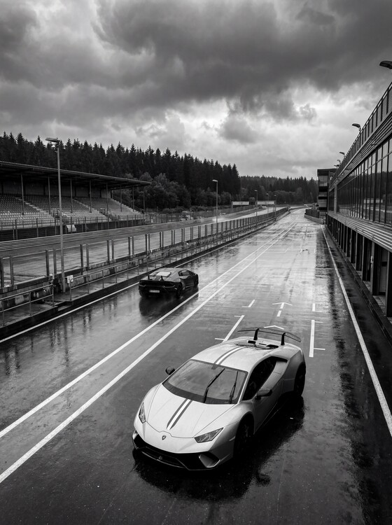Плакат Majesty: Lamborghini on the Wet Track