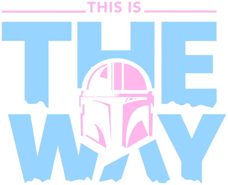 T-shirt This is the way