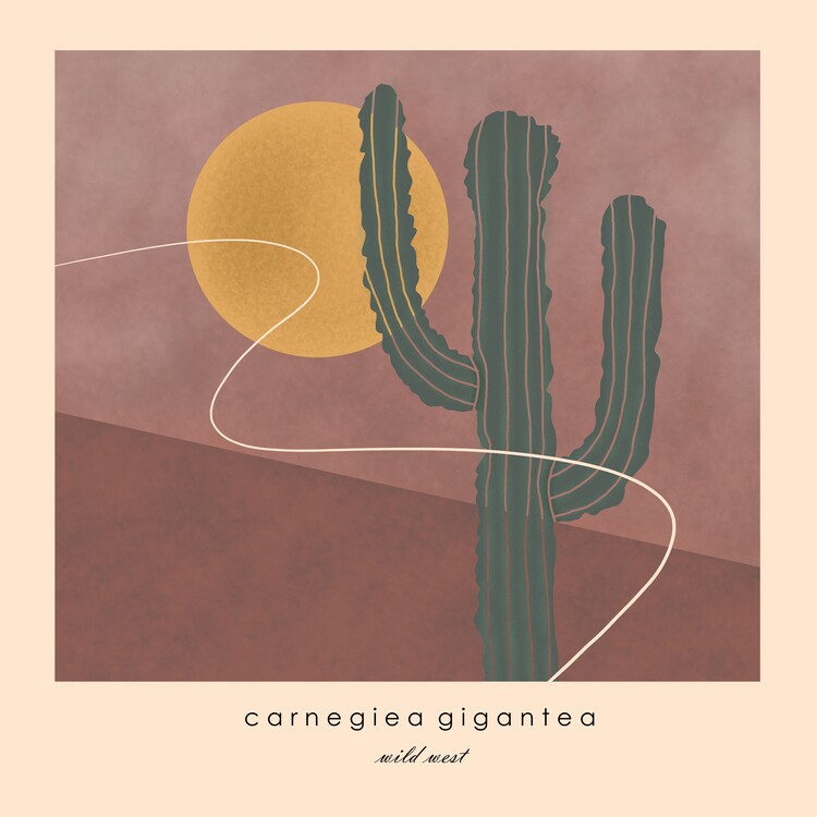 Плакат Cactus