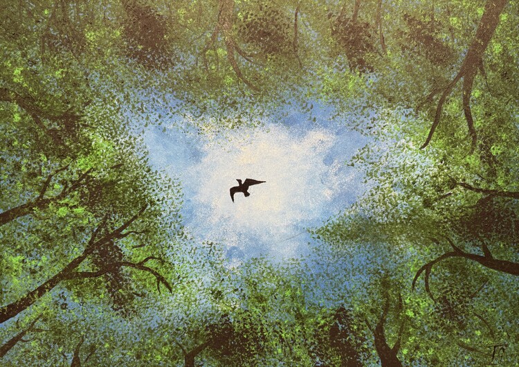Плакат Forest sky