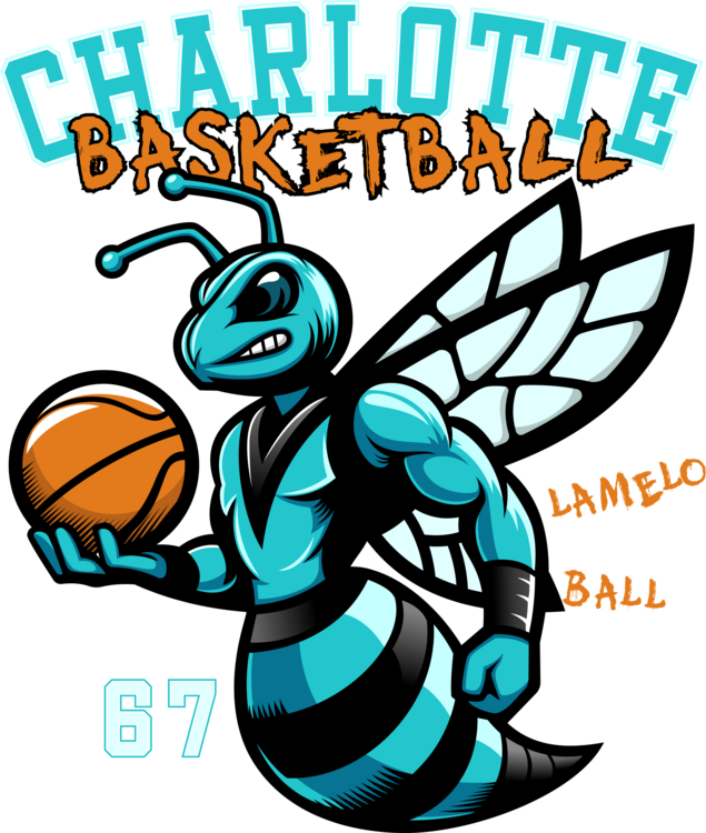 T-shirt LaMelo Ball 67