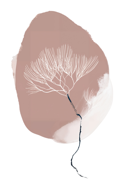 T-shirt Desert Bloom Outline