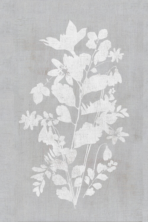 Poster Botanical Illustration 2