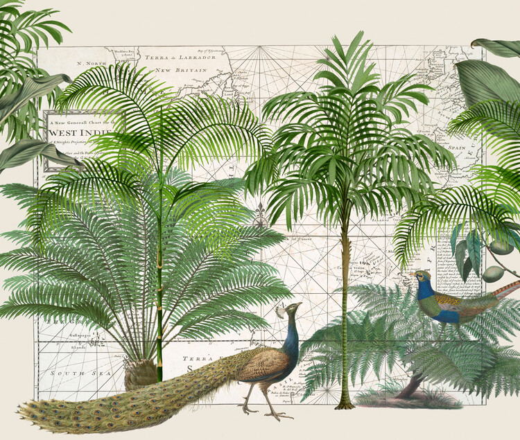 Levně Plakát, Obraz - Tropical Empire No6, Andrea Haase, 40 × 33.9 cm