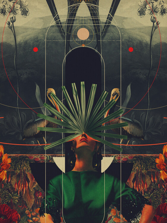 Poster She Saw the Equator