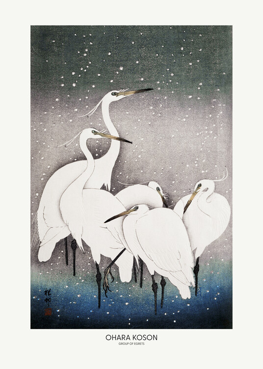 Poster Group Of Egrets