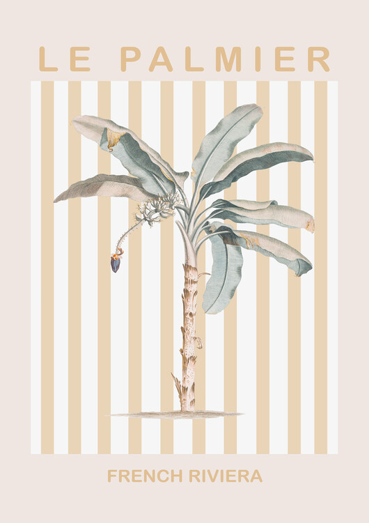 Levně Plakát, Obraz - Riviera Plam Tree, Talitha McQueen, 30 × 40 cm